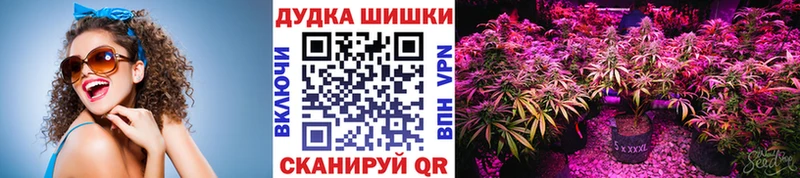 Бошки марихуана планчик  Берёзовский 